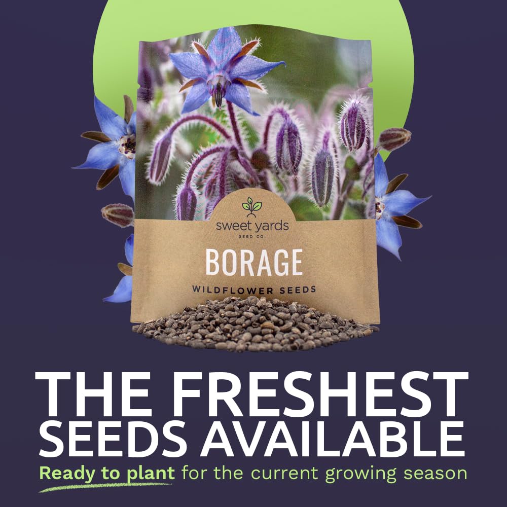 Sweet Yards Borage seeds germination test shows high germination potential.