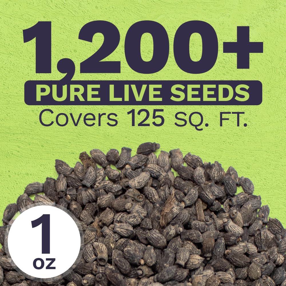 Sweet Yards Borage seeds packaging with instructions ensures easy storage.