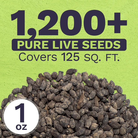 Sweet Yards Borage seeds packaging with instructions ensures easy storage.