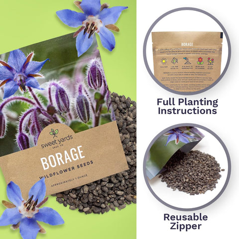 Sweet Yards Borage seeds for borders and pollinator-friendly gardens.