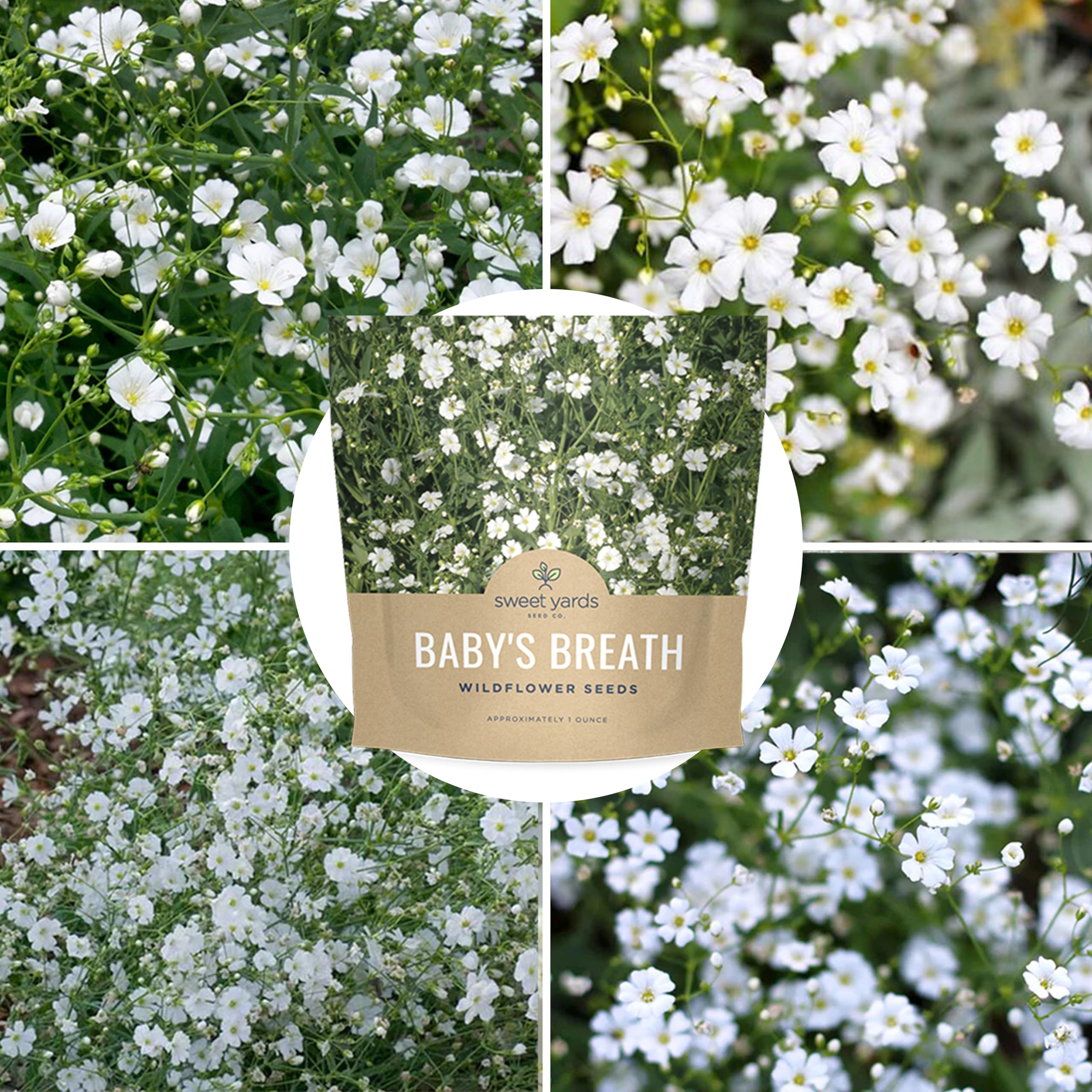 SWEET YARDS Bulk quarter-pound bag simplifies stocking for large gardens