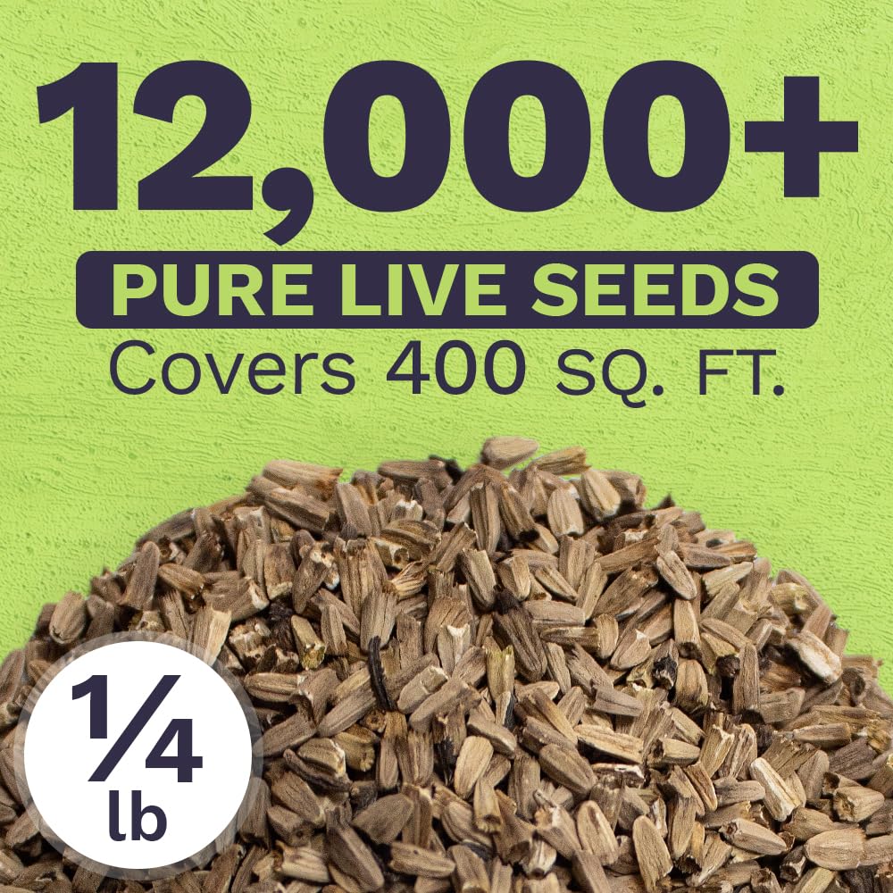 Sweet Yards Bulk seed packets ideal for seed bombs and gifting to fellow gardeners.