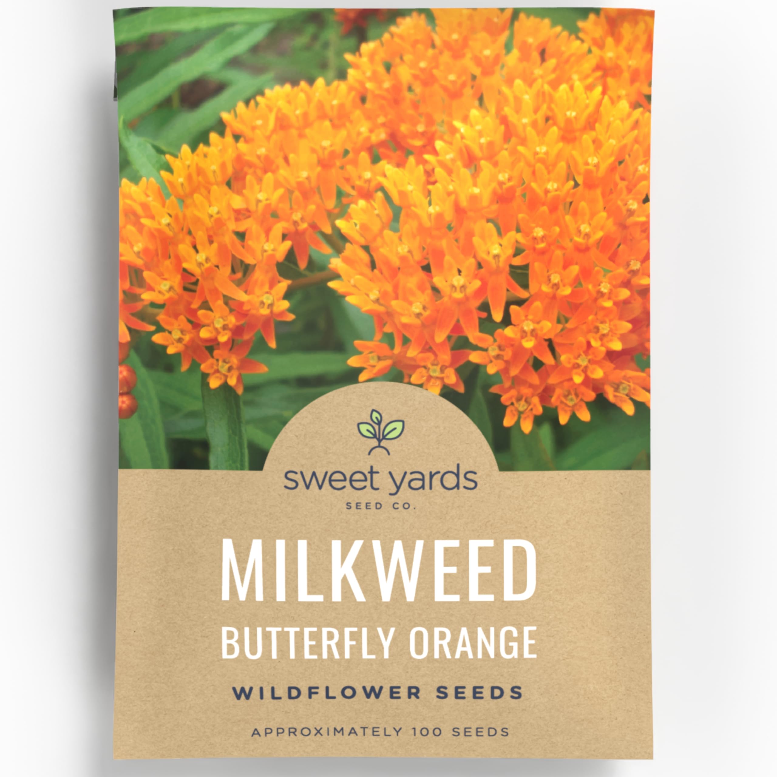 Sweet Yards Butterfly Orange Milkweed seeds for vibrant blooms and pollinator support.