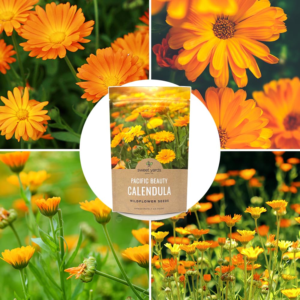Sweet Yards Calendula Pacific Beauty Mix open-pollinated non-GMO seeds for flexible gardening