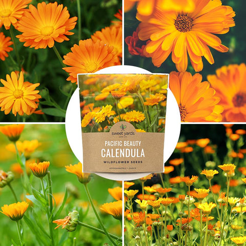 Sweet Yards Calendula Pacific Beauty Mix non-GMO seeds ensure reliable germination