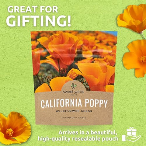 California native Eschscholzia californica from Sweet Yards.