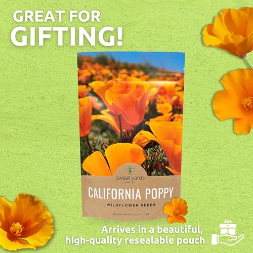 Sweet Yards California Orange Poppy seeds California state flower symbolism in garden setting.