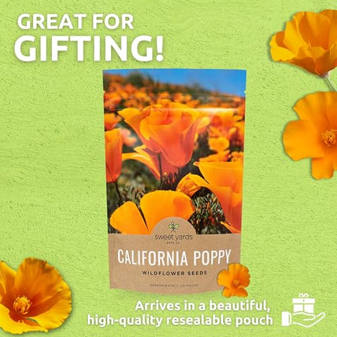 Sweet Yards California Orange Poppy seeds California state flower symbolism in garden setting.