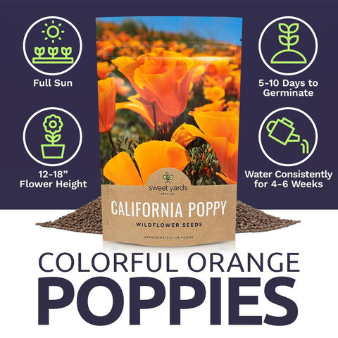 Sweet Yards California Orange Poppy seeds germination tray suggests quick germination under sunlight.