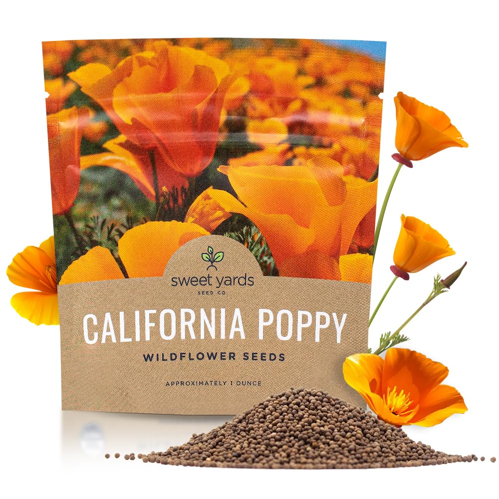 Sweet Yards California orange poppy seeds packet ready for planting.