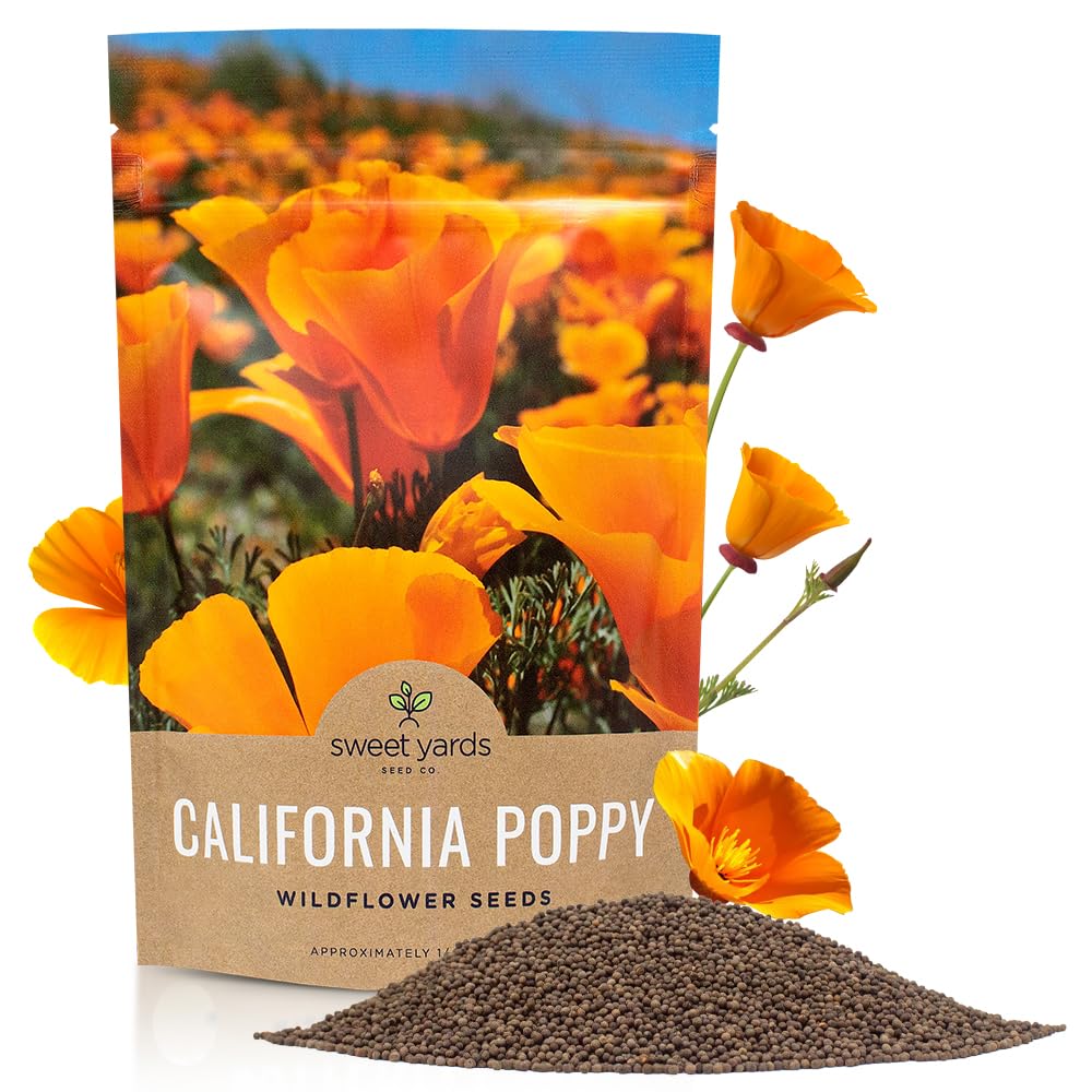 Sweet Yards California Orange Poppy seeds bulk quarter-pound bag ready for large gardens.