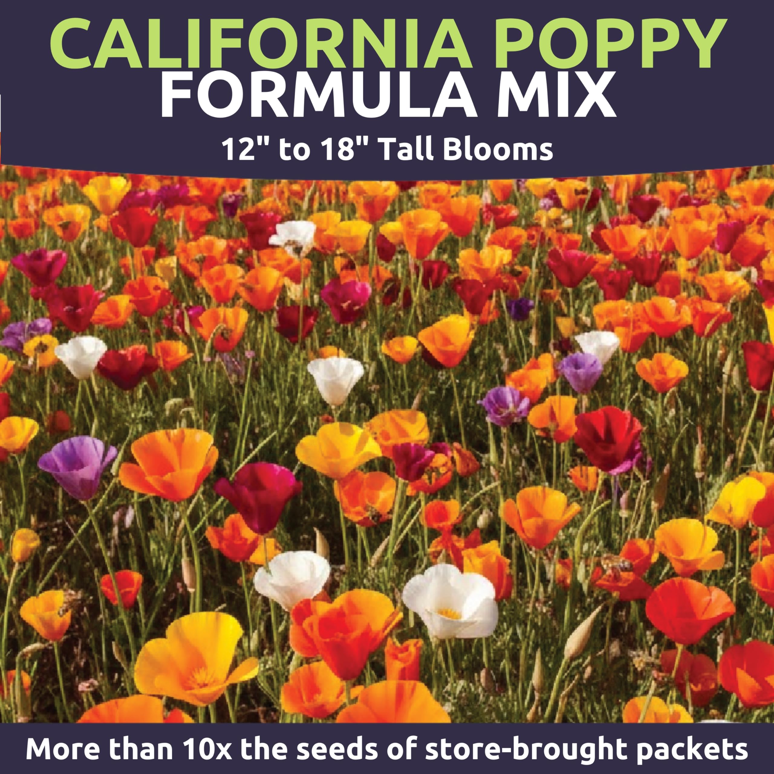 Sweet Yards California Poppy color-mix showing reds, oranges, yellows, and creams in borders.