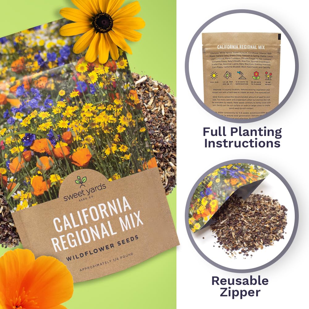 Sweet Yards California Wildflower Bulk Seeds simplify planting and quick garden color.