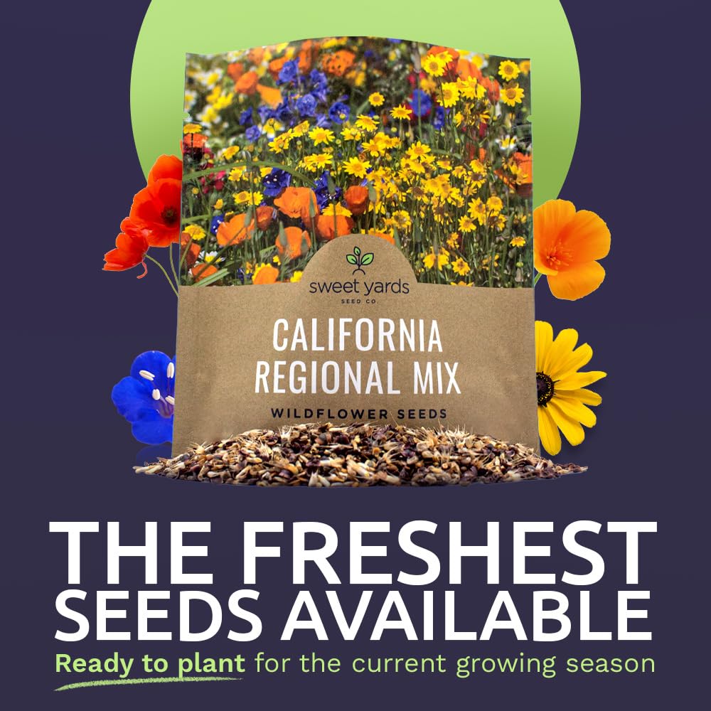 Sweet Yards California Wildflower seeds closeup highlighting thousands of seeds for a lush display.