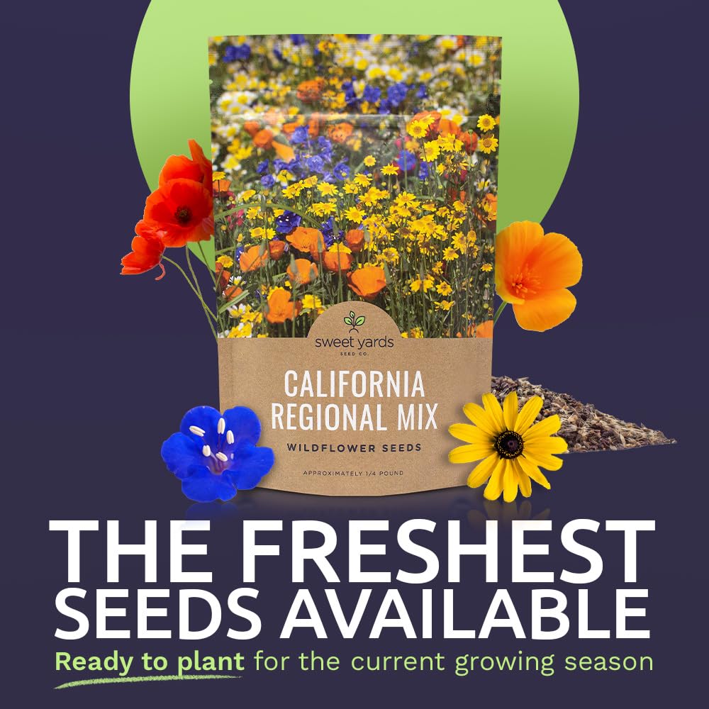 Sweet Yards California Wildflower Seeds in Hand showing abundant bloom potential.