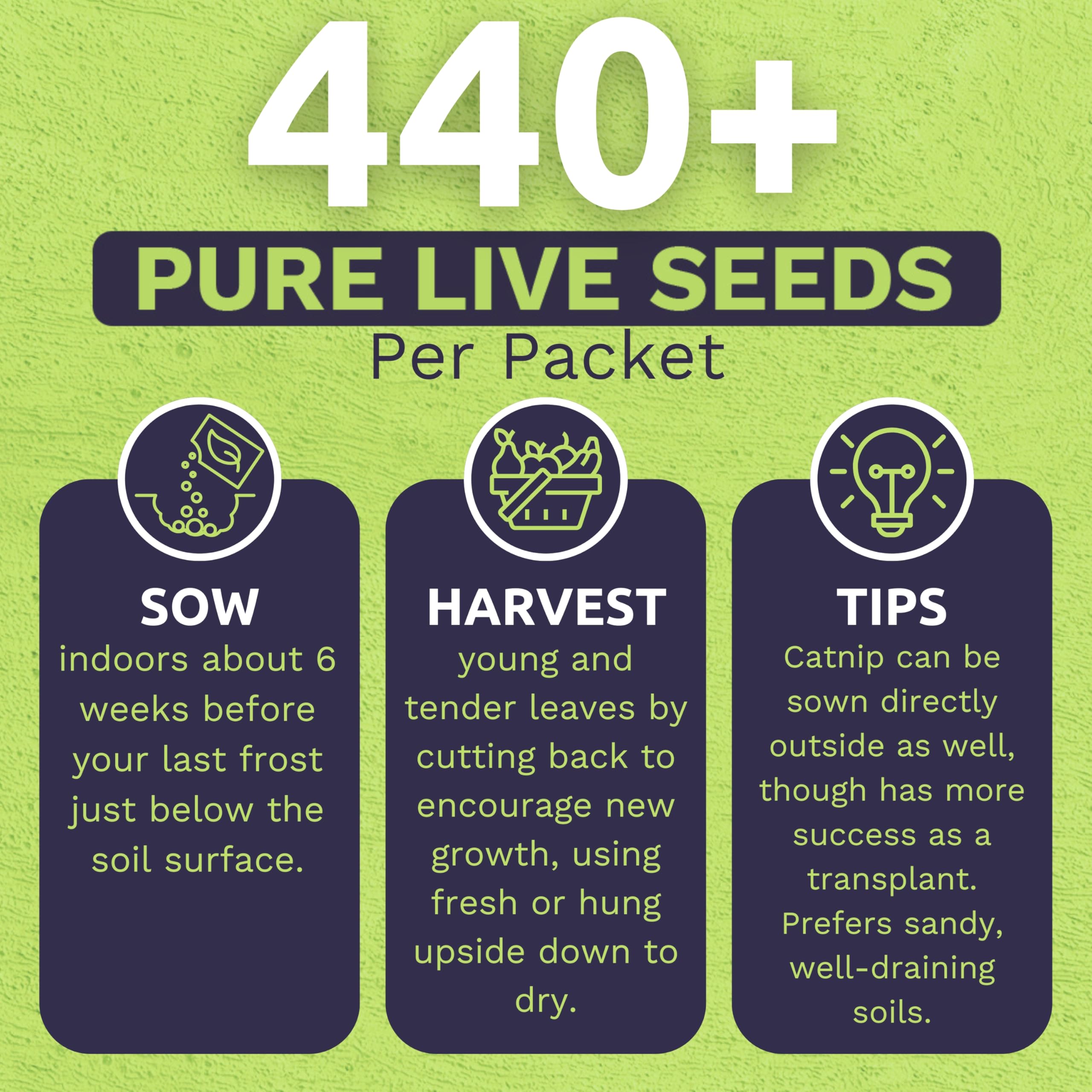 Sweet Yards catnip seeds 2026 fresh batch promotes healthy sprouting.