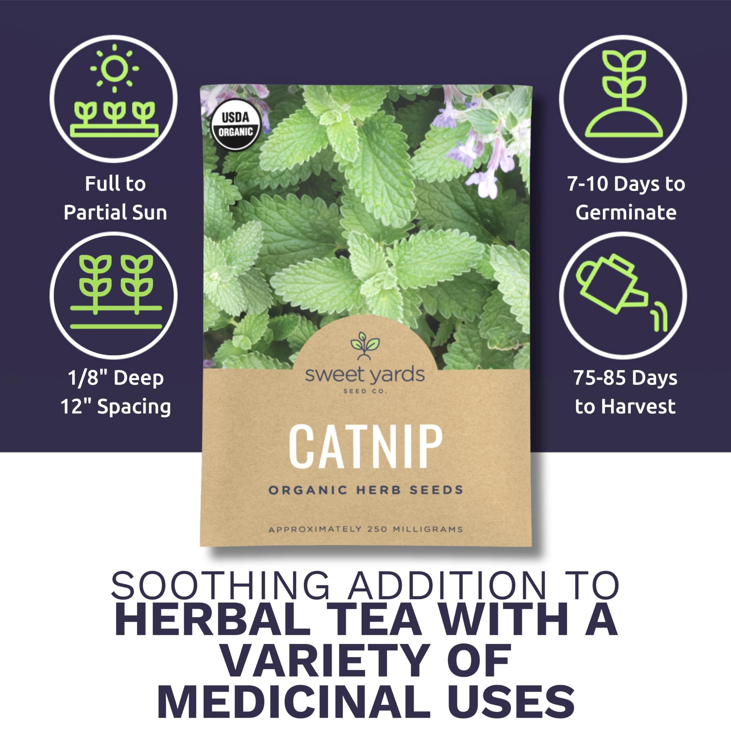 Sweet Yards catnip seeds two packets for versatile garden sowing.