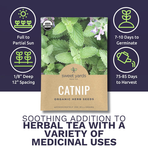 Sweet Yards catnip seeds two packets for versatile garden sowing.