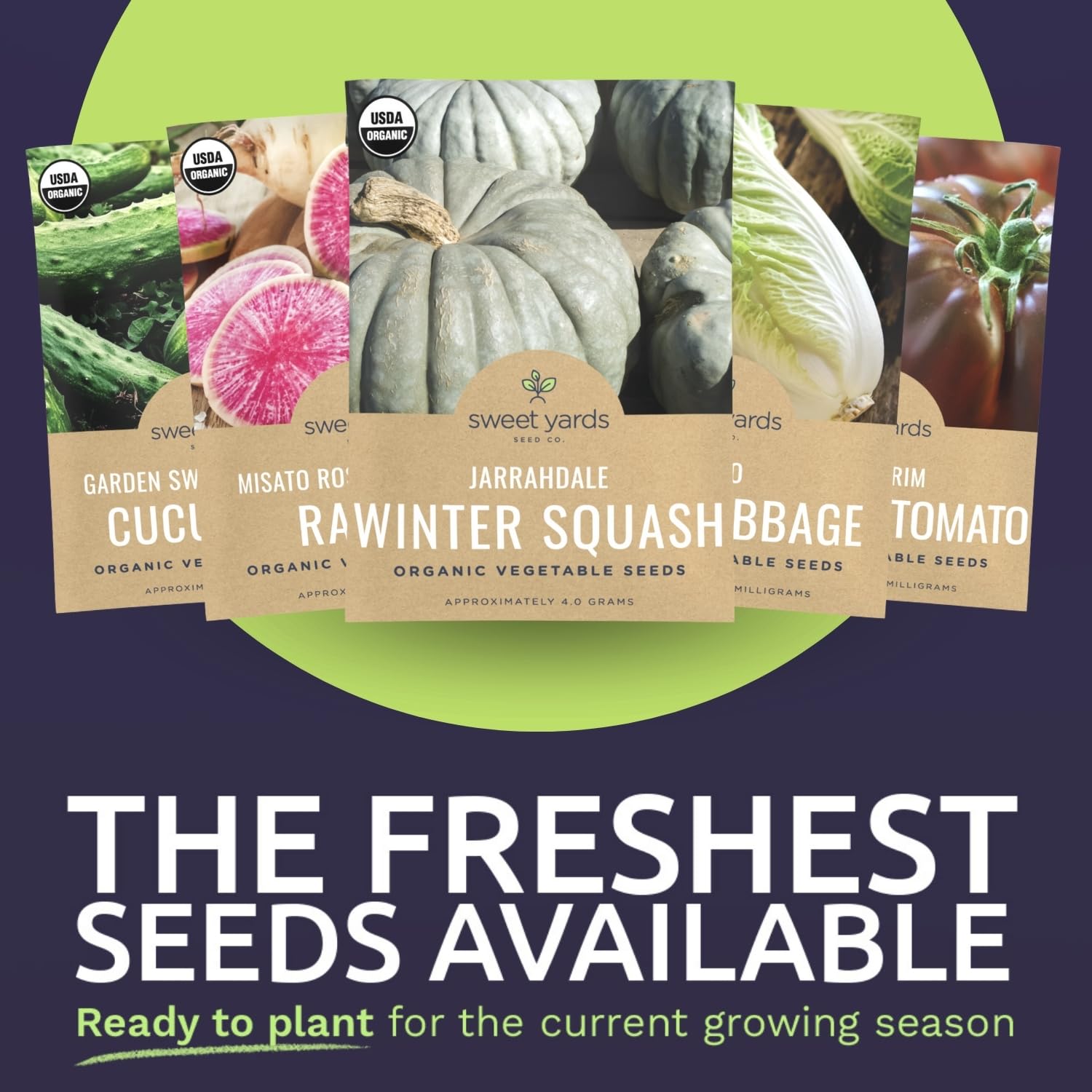 Sweet Yards Celine colored snap bush beans for colorful salads