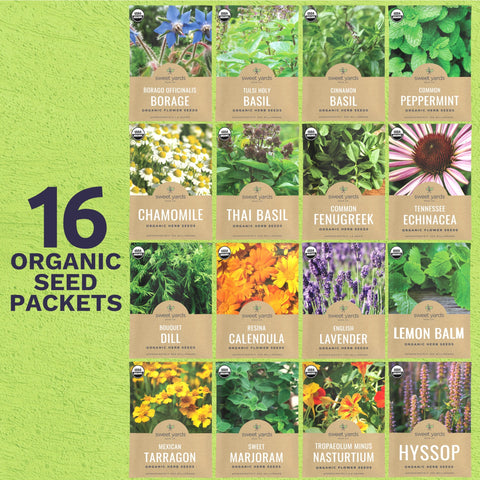 Sweet Yards Chamomile seed packet ready to cultivate relaxing tea blends