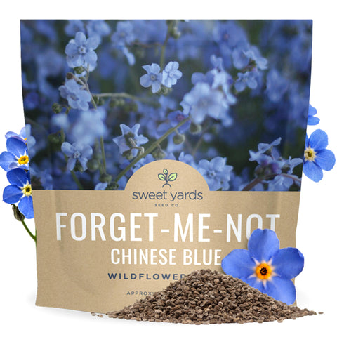 Sweet Yards Chinese Forget Me Not seeds bulk 1oz ready for planting