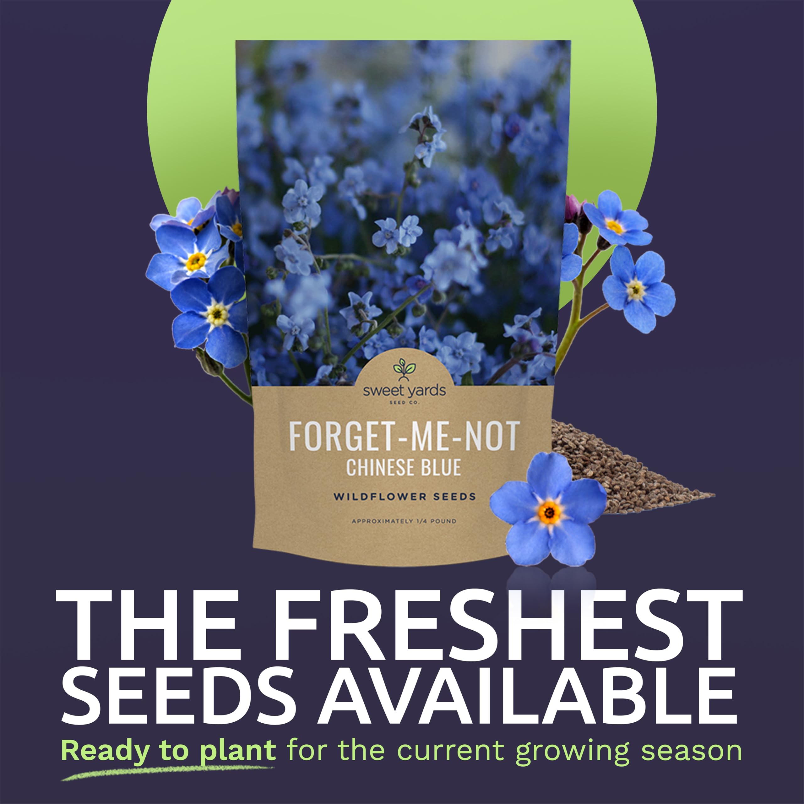 Sweet Yards Chinese Forget-Me-Not seeds close-up highlight blue blooms and germination potential.
