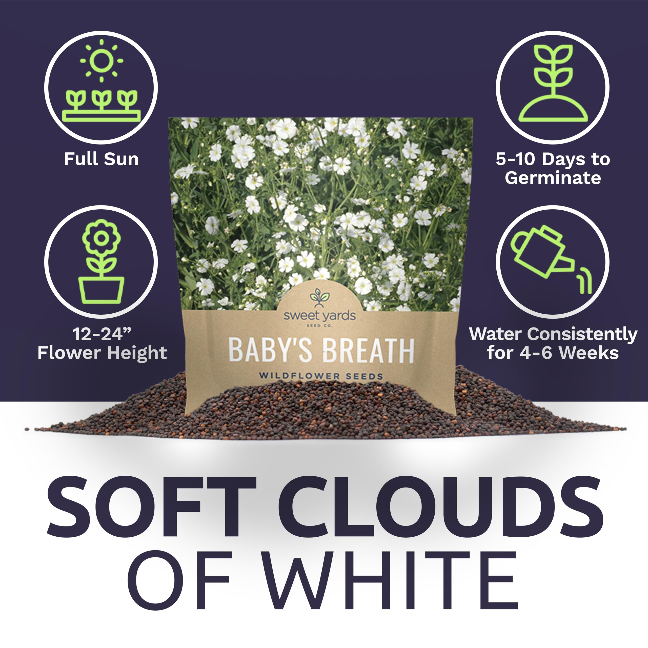 SWEET YARDS Cloud-like white blooms over 18-inch plants in the garden