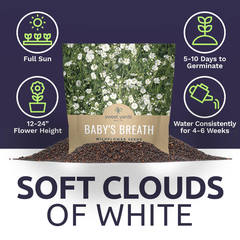SWEET YARDS Cloud-like white blooms over 18-inch plants in the garden