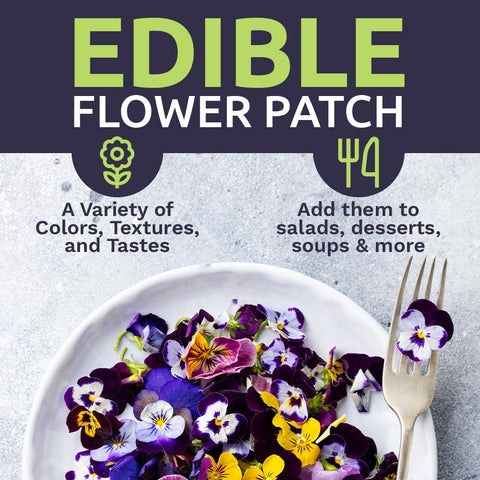 Sweet Yards colorful blooms attract pollinators in your garden