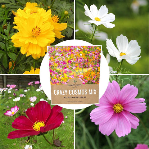 Sweet Yards Cosmos Seeds gift packaging image hints at a thoughtful gardening gift