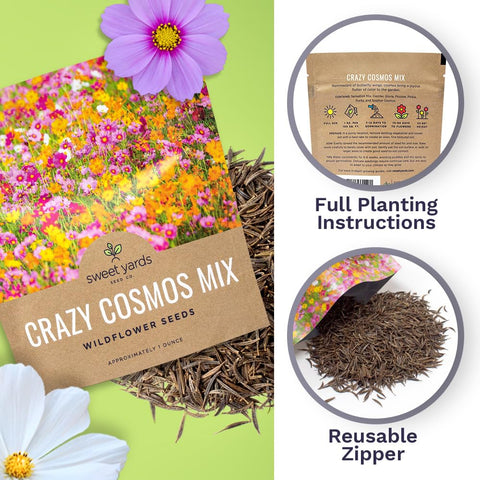 Sweet Yards Cosmos Seeds outdoor planting photo illustrates easy setup in a sunlit garden