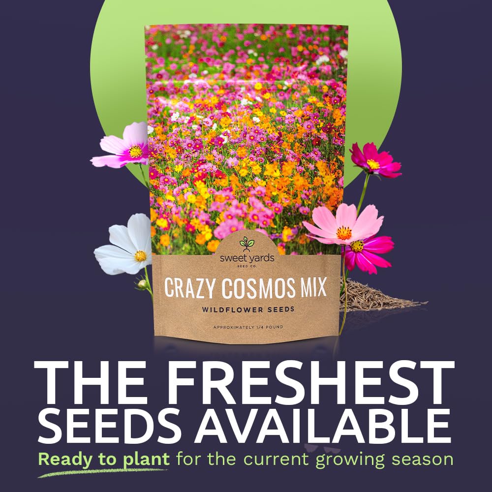 Cosmos seeds coverage visual for 400 square feet in a garden bed