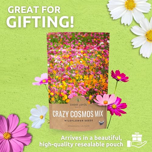 Cosmos border planting ideas with SWEET YARDS seeds