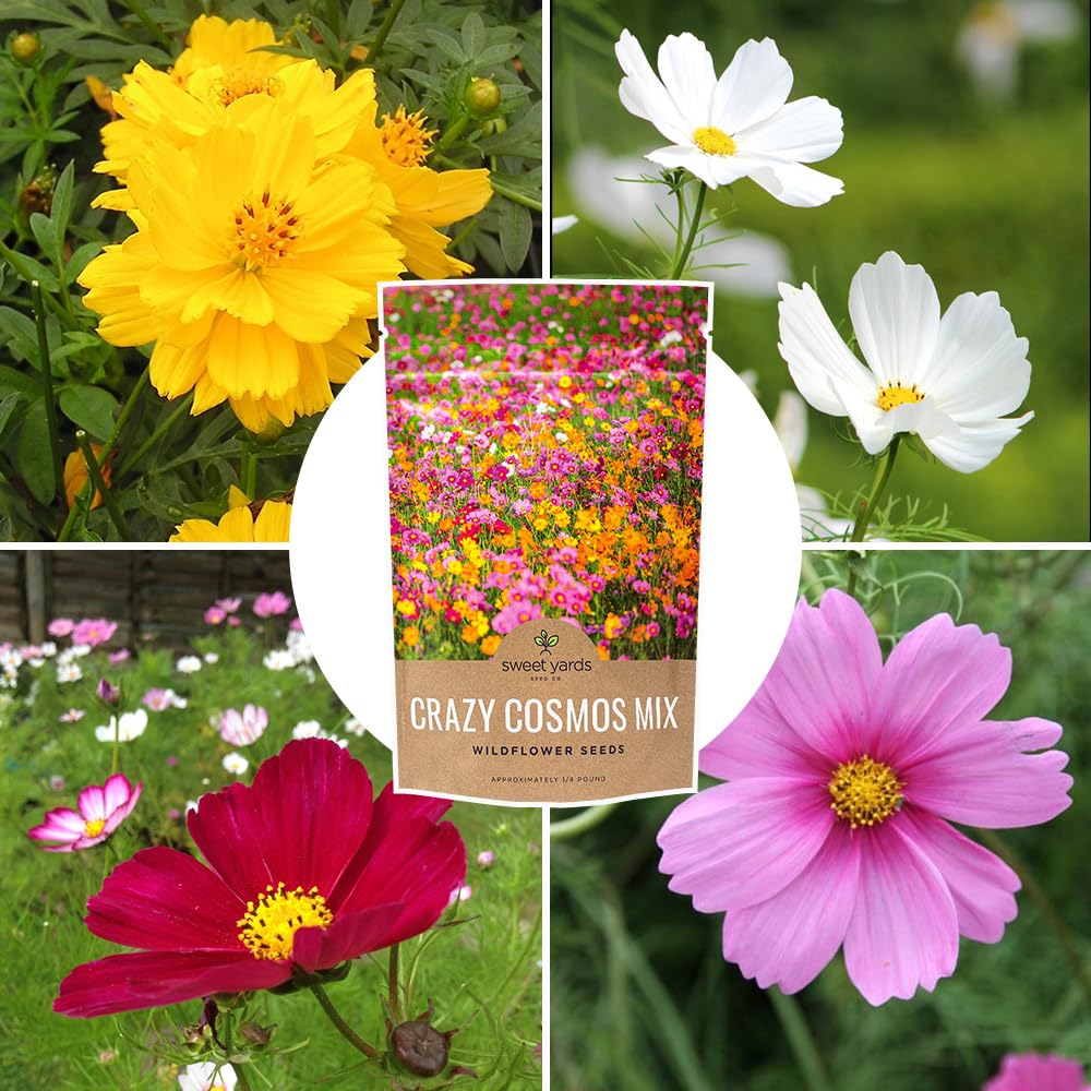 Vibrant garden display featuring SWEET YARDS cosmos wildflower mix