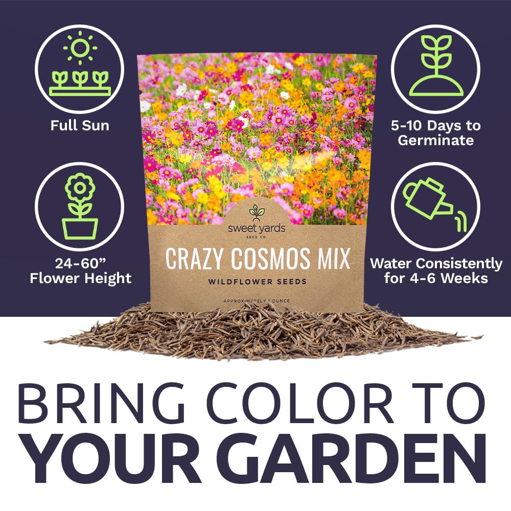 Seven cosmos varieties in a single Sweet Yards Wildflower Mix