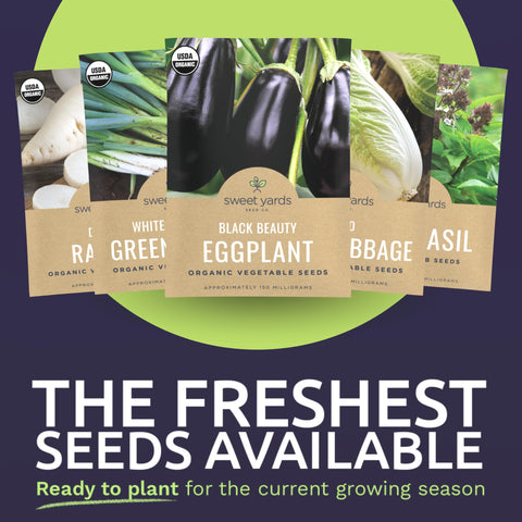 Sweet Yards Daikon Radish seed packet for crunchy roots and quick meals