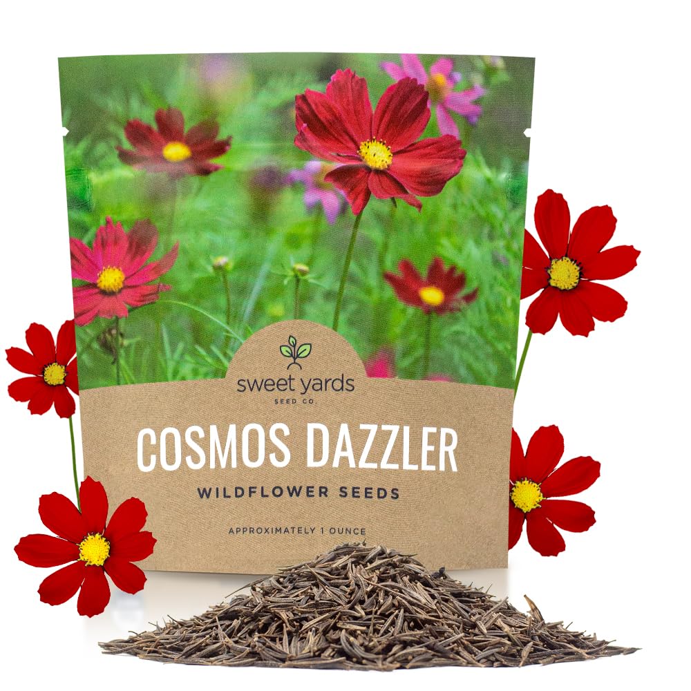 SWEET YARDS Dazzler Cosmos Seeds in a 1 oz packet for quick, drought-tolerant color.