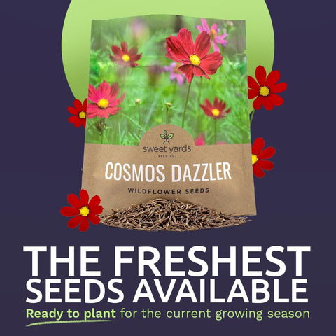 SWEET YARDS Dazzler cosmos seeds closeup with vibrant petals for garden color.