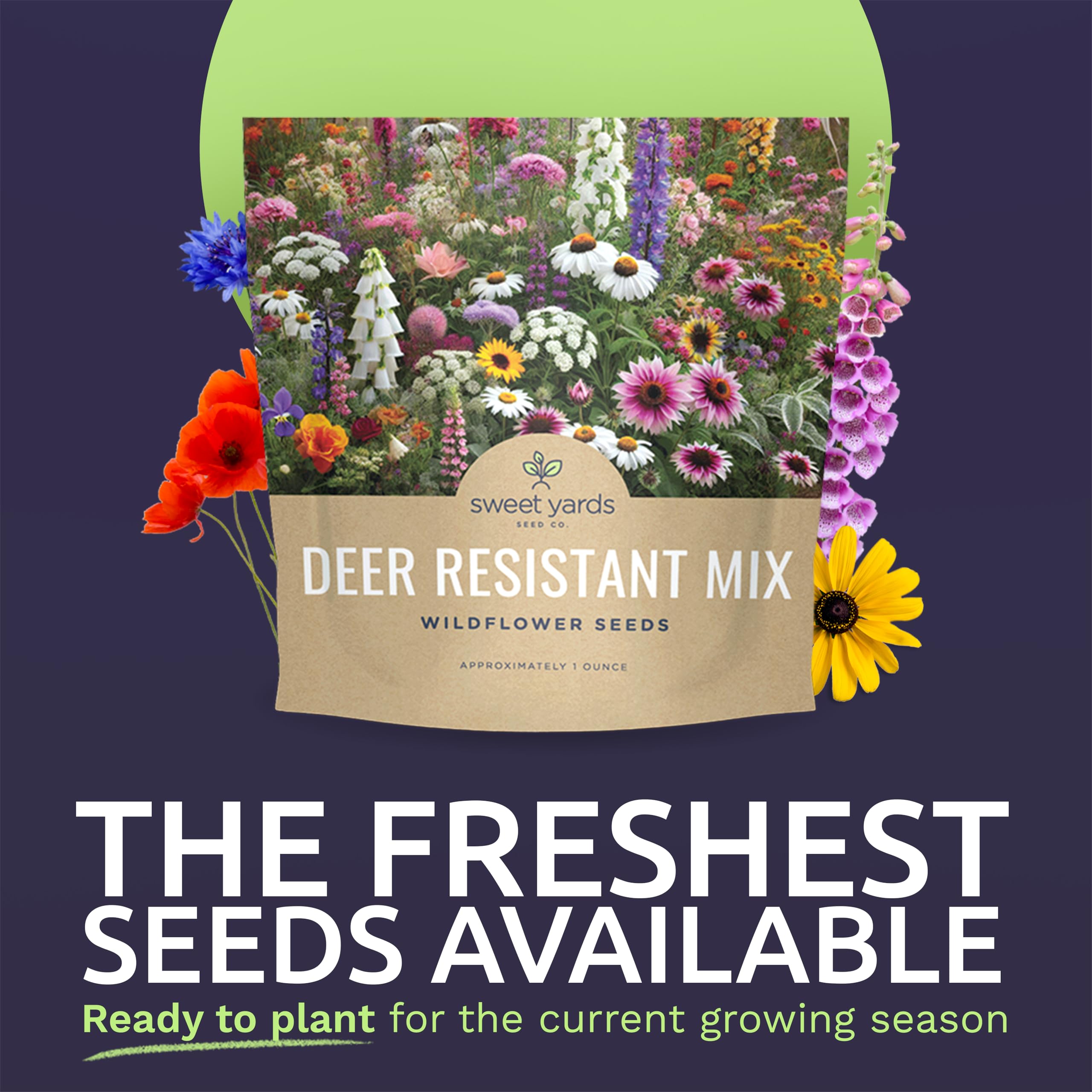 Sweet Yards deer-resistant wildflower seed mixture covers 100 sq ft for borders