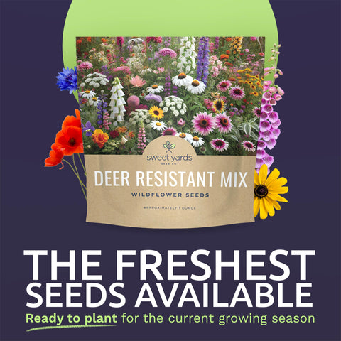Sweet Yards deer-resistant wildflower seed mixture covers 100 sq ft for borders