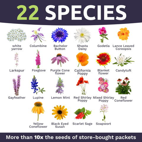 Sweet Yards open-pollinated non-GMO seeds support authentic, diverse plantings