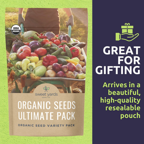 Sweet Yards Detroit Dark Red Beet seed pack for earthy roots and vibrant harvests.