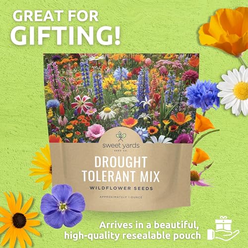 Sweet Yards dryland garden ideas featuring drought-tolerant wildflowers