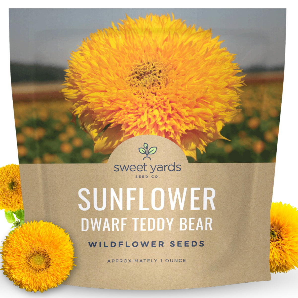 Sweet Yards Dwarf Teddy Bear sunflower seeds packet for small spaces.