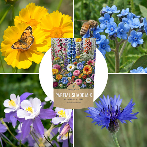 Sweet Yards easy-germination seeds support quick progress in partial shade.