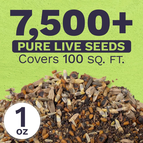 Sweet Yards extra-large 1oz packet ready for quick sowing.