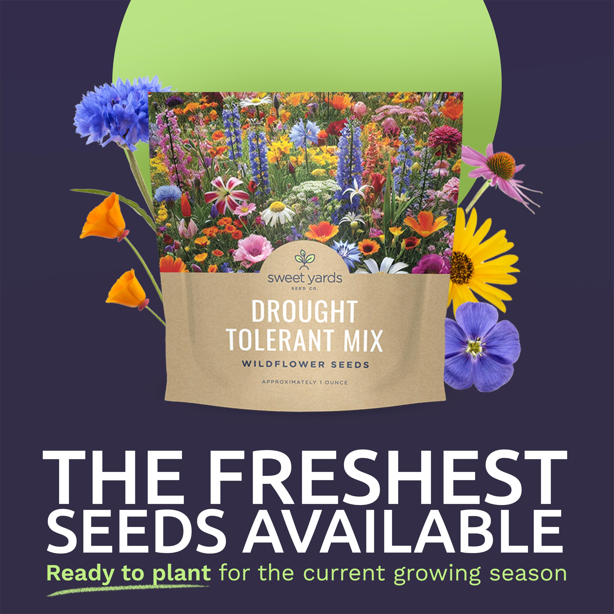 Sweet Yards extra-large seed packet covers about 100 square feet