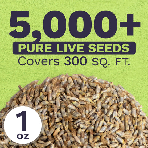 Sweet Yards Extra-large seed packet sized for big garden coverage.