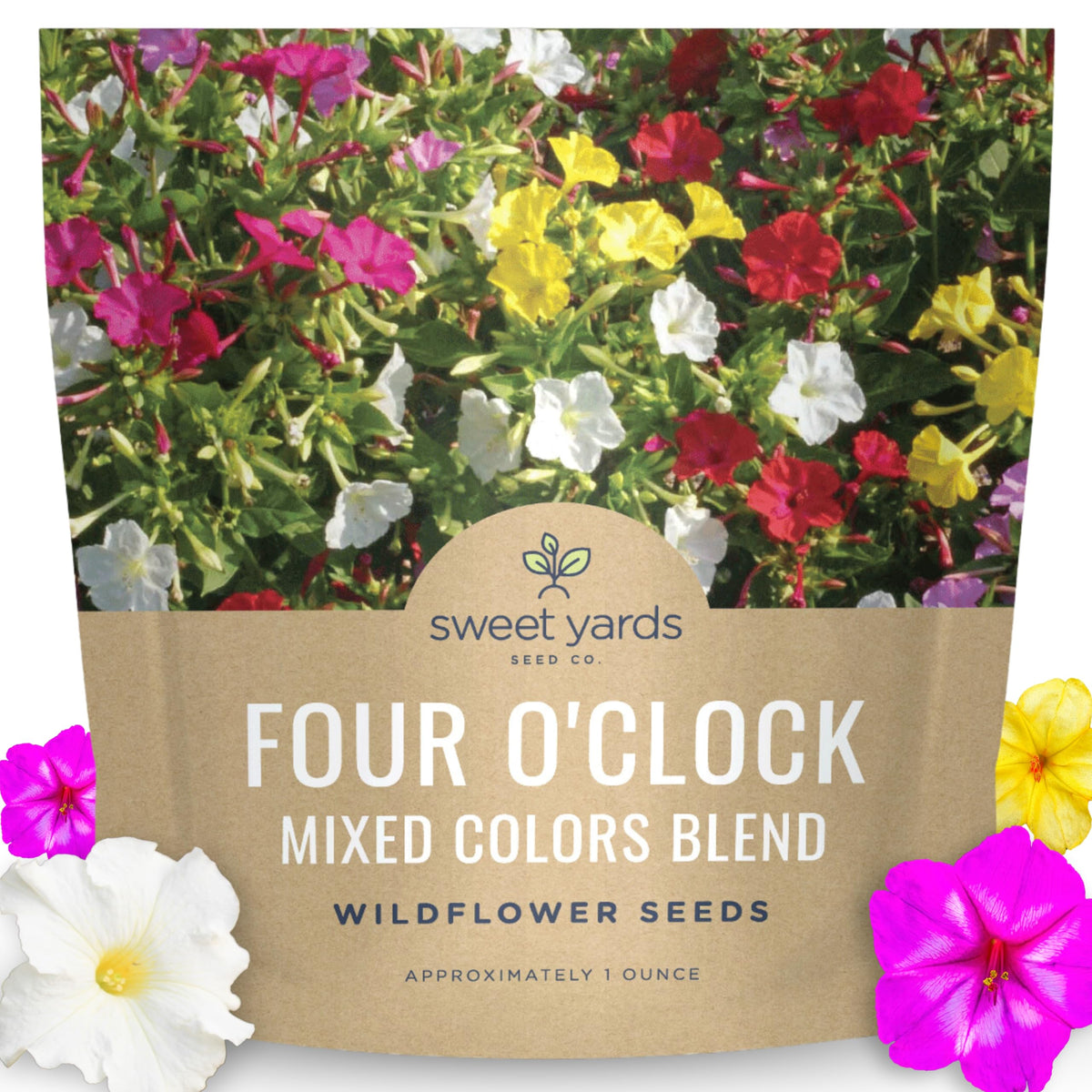 Sweet Yards Four O'Clock seed packet displaying vibrant late-day blooms