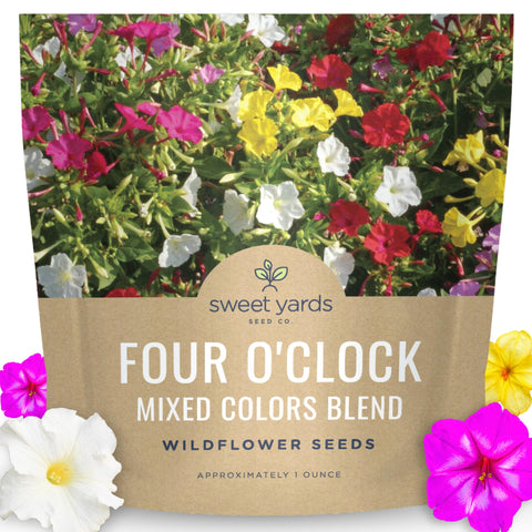 Sweet Yards Four O'Clock seed packet displaying vibrant late-day blooms